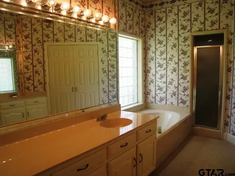 328 Kickapoo St, Frankston, TX 75763 photo 22