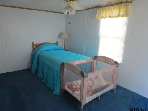 165 Geronimo, Quitman, TX 75783 photo 11