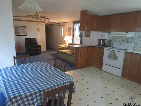 165 Geronimo, Quitman, TX 75783 photo 5