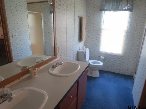 165 Geronimo, Quitman, TX 75783 photo 9