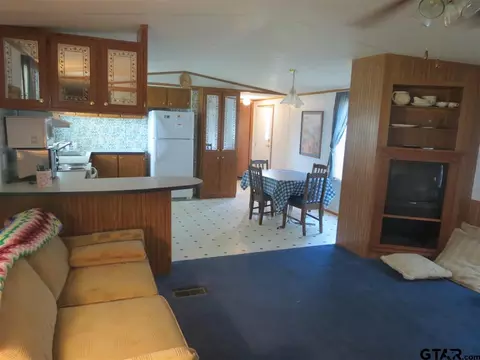 165 Geronimo, Quitman, TX 75783 photo 2