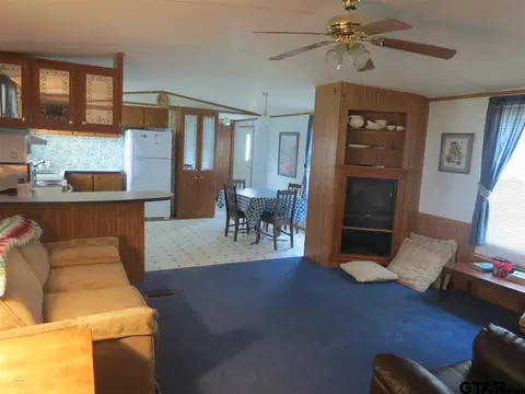 165 Geronimo, Quitman, TX 75783 photo 3