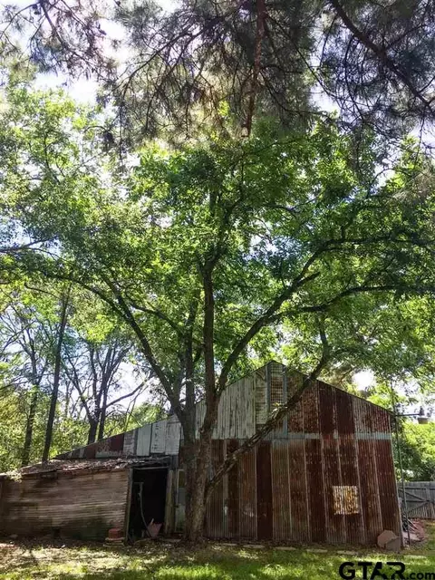 684 E Main, Van, TX 75790 photo 32