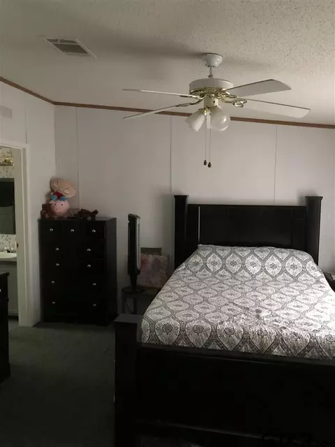 345 Comanche, Quitman, TX 75783 photo 10