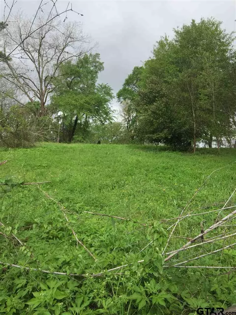 tbd S Main St, Rusk, TX 75785 photo 3