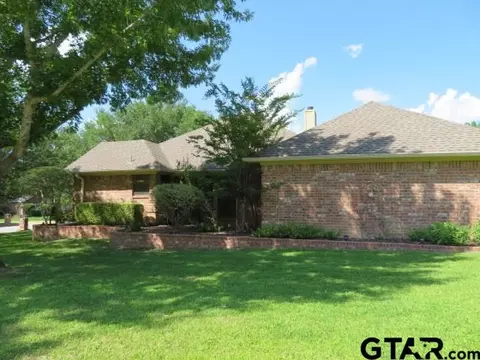 18259 Springmill Ct, Flint, TX 75762 photo 3