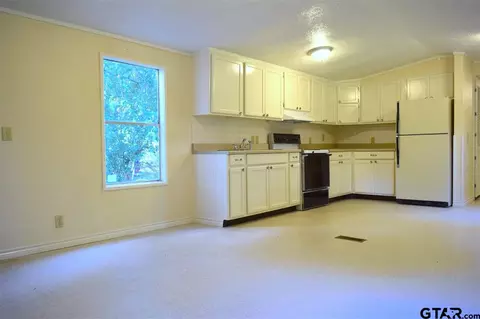 23197 Wateridge Loop, Flint, TX 75762 photo 4