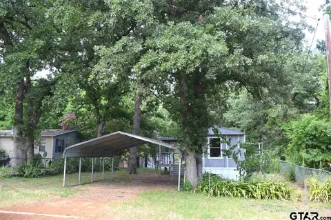 23197 Wateridge Loop, Flint, TX 75762 photo 1