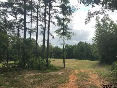 1755 Hackberry Rd, Gilmer, TX 75644 photo 6