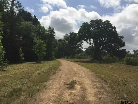 1755 Hackberry Rd, Gilmer, TX 75644 photo 3