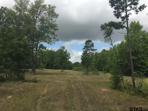 1755 Hackberry Rd, Gilmer, TX 75644 photo 8