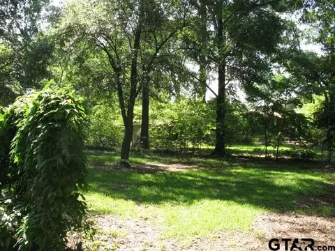 12438 18 Th Ave, Tyler, TX 75708 photo 12