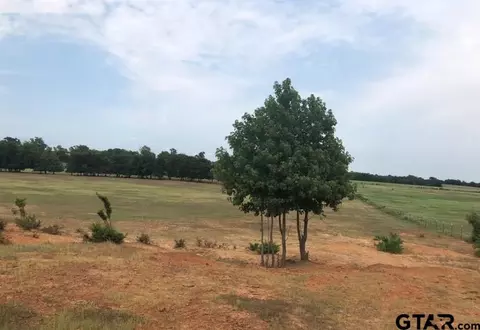 tbd Fm 69, Como, TX 75431 photo 6