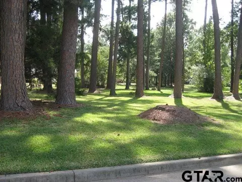 tbd Candy Dr, Pittsburg, TX 75686 photo 2