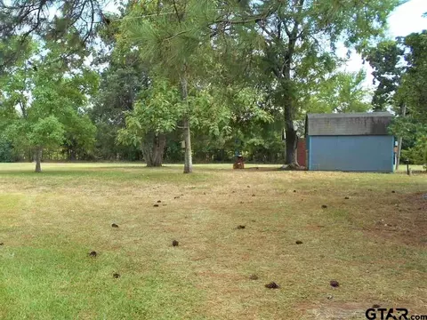 808 Lance Rd, Quitman, TX 75783 photo 11