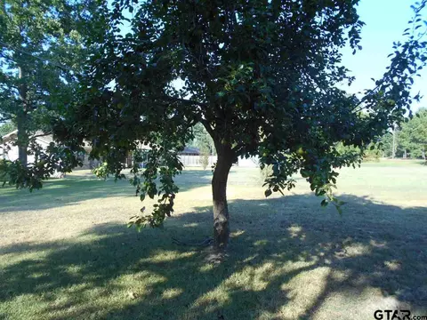 808 Lance Rd, Quitman, TX 75783 photo 15