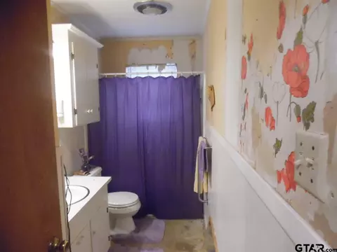 717 Randy Rd, Quitman, TX 75783 photo 11