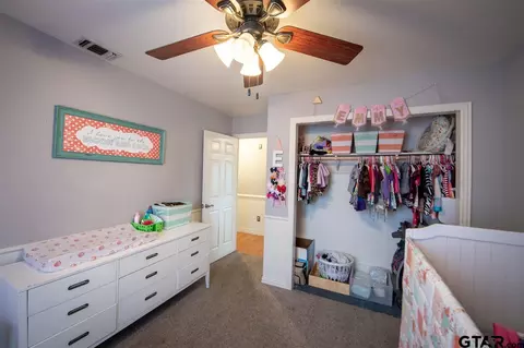 299 E Mockingbird, Alba, TX 75410 photo 23
