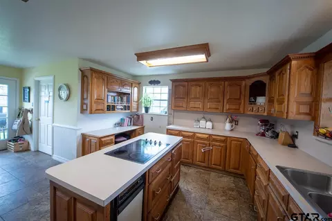 299 E Mockingbird, Alba, TX 75410 photo 12