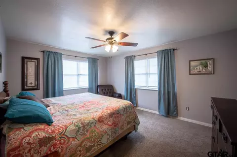 299 E Mockingbird, Alba, TX 75410 photo 15