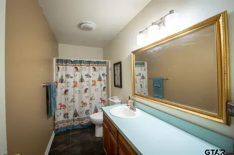 299 E Mockingbird, Alba, TX 75410 photo 24