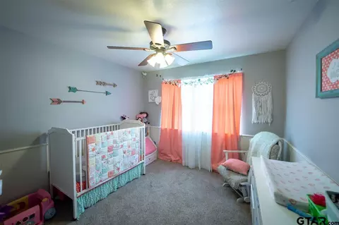 299 E Mockingbird, Alba, TX 75410 photo 22