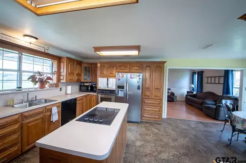 299 E Mockingbird, Alba, TX 75410 photo 10
