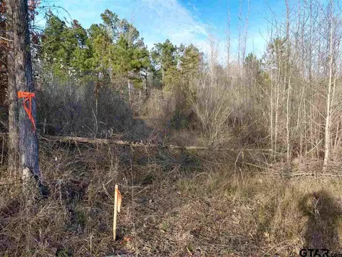 tbd Kangaroo Rd, Gilmer, TX 75644 photo 15