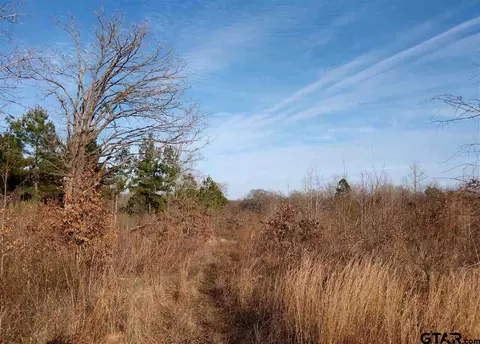 tbd Kangaroo Rd, Gilmer, TX 75644 photo 11