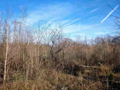 tbd Kangaroo Rd, Gilmer, TX 75644 photo 7