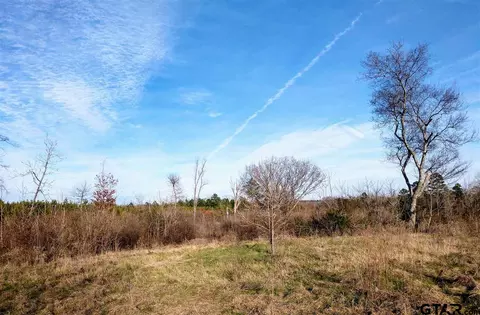 tbd Kangaroo Rd, Gilmer, TX 75644 photo 6