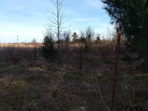 tbd Kangaroo Rd, Gilmer, TX 75644 photo 14