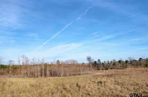 tbd Kangaroo Rd, Gilmer, TX 75644 photo 5