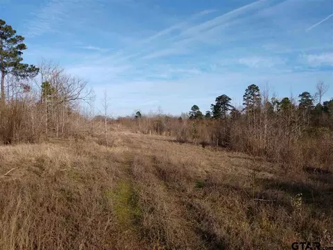 tbd Kangaroo Rd, Gilmer, TX 75644 photo 18