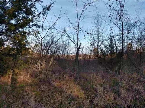 tbd Kangaroo Rd, Gilmer, TX 75644 photo 12