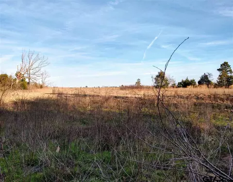 tbd Kangaroo Rd, Gilmer, TX 75644 photo 10