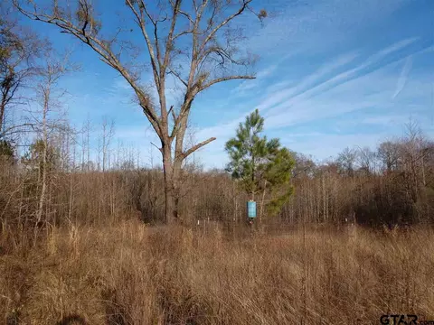 tbd Kangaroo Rd, Gilmer, TX 75644 photo 16