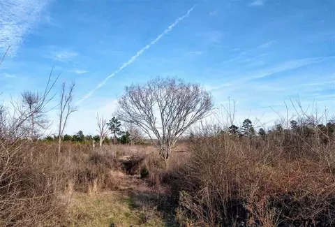 tbd Kangaroo Rd, Gilmer, TX 75644 photo 4