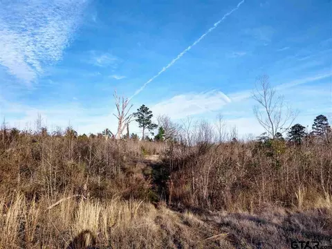 tbd Kangaroo Rd, Gilmer, TX 75644 photo 9