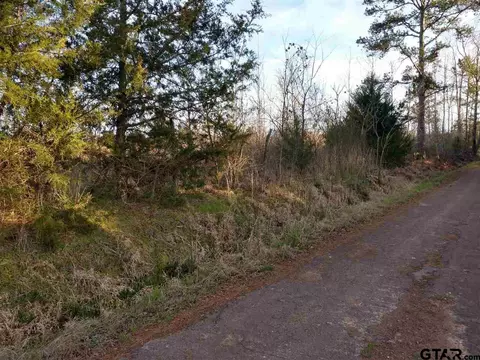 tbd Kangaroo Rd, Gilmer, TX 75644 photo 13
