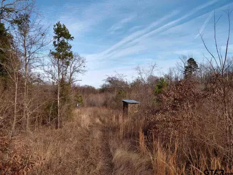 tbd Kangaroo Rd, Gilmer, TX 75644 photo 17