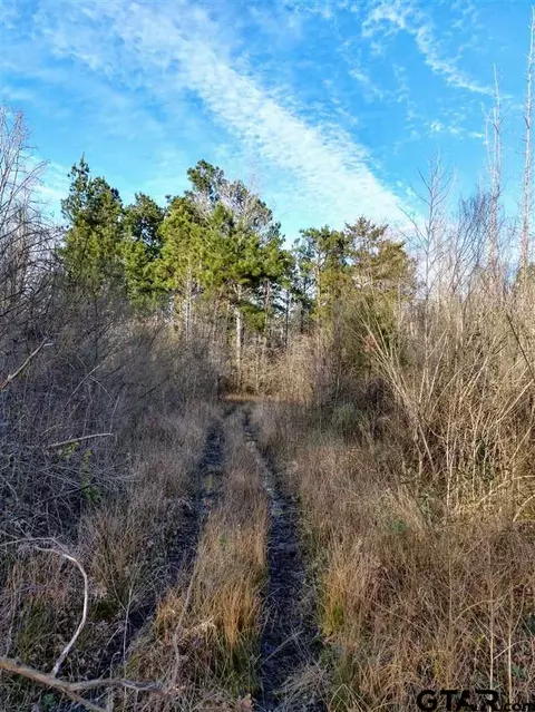 tbd Kangaroo Rd, Gilmer, TX 75644 photo 2