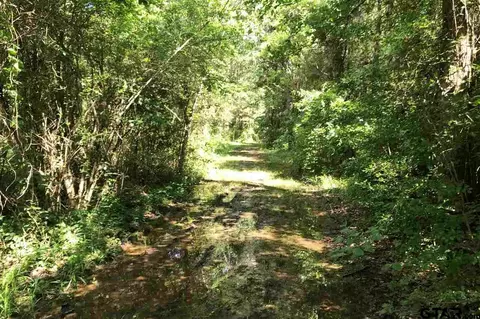 1175 Basham Rd, Pollok, TX 75969 photo 11