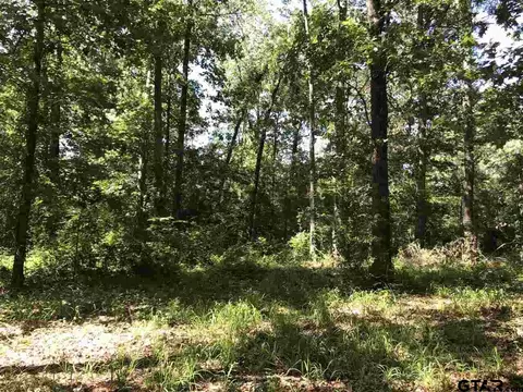 1175 Basham Rd, Pollok, TX 75969 photo 9