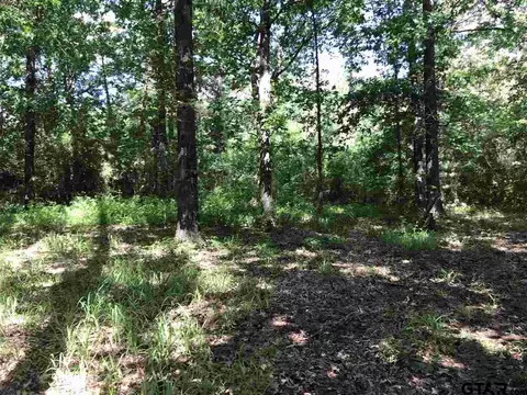1175 Basham Rd, Pollok, TX 75969 photo 8