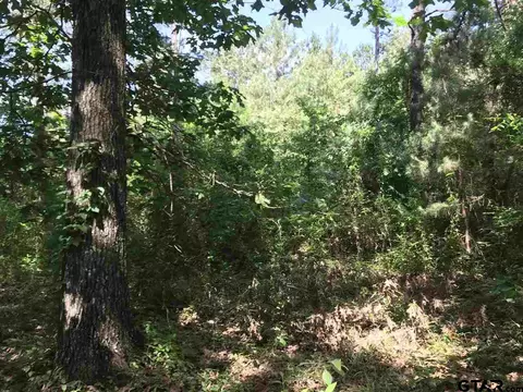 1175 Basham Rd, Pollok, TX 75969 photo 10