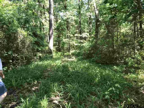 1175 Basham Rd, Pollok, TX 75969 photo 7