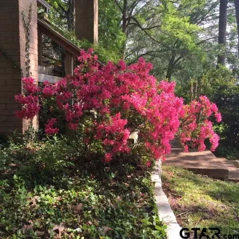 560 Hideaway E, Hideaway, TX 75771 photo 46