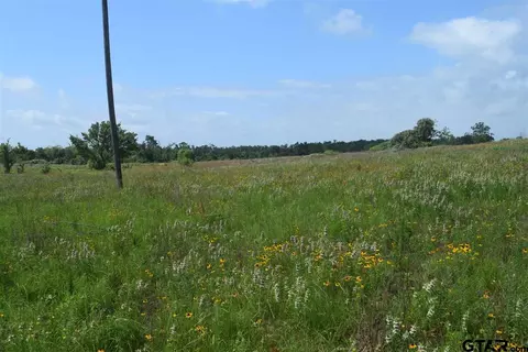 tbd Fm 1256, Eustace, TX 75124 photo 22