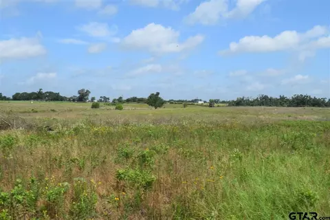 tbd Fm 1256, Eustace, TX 75124 photo 10